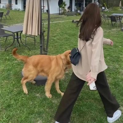 邪恶第二季